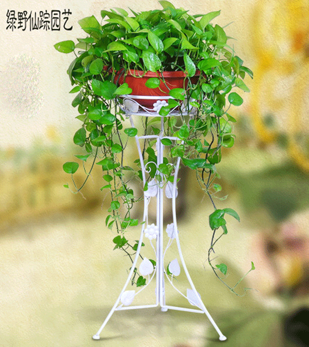 欧式铁艺绿萝花架 客厅盆景架落地式 单个植物架可折叠创意吊兰