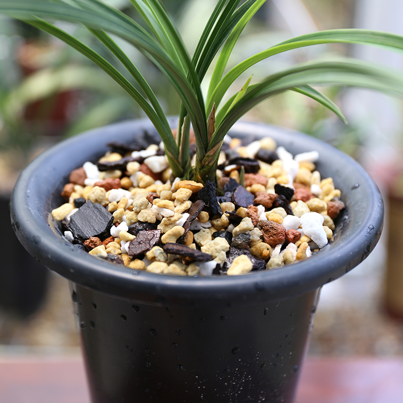 兰花专用土 高档颗粒兰花植料营养土 通用型兰科介质松树皮植金。