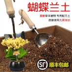 蝴蝶兰土蝴蝶兰专用土酸性营养土椰糠泥炭土壤兰科植物种植土花肥