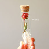 花玻璃试管干花束永生花许愿瓶植物标本装饰婚礼毕业生日伴手礼物
